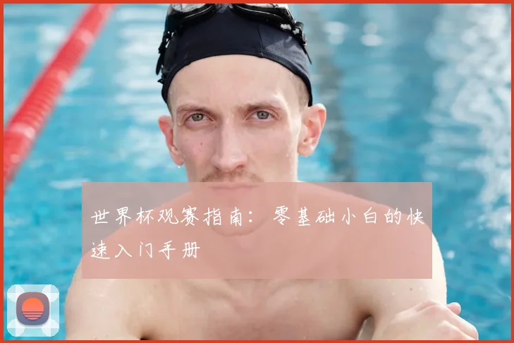 世界杯观赛指南：零基础小白的快速入门手册