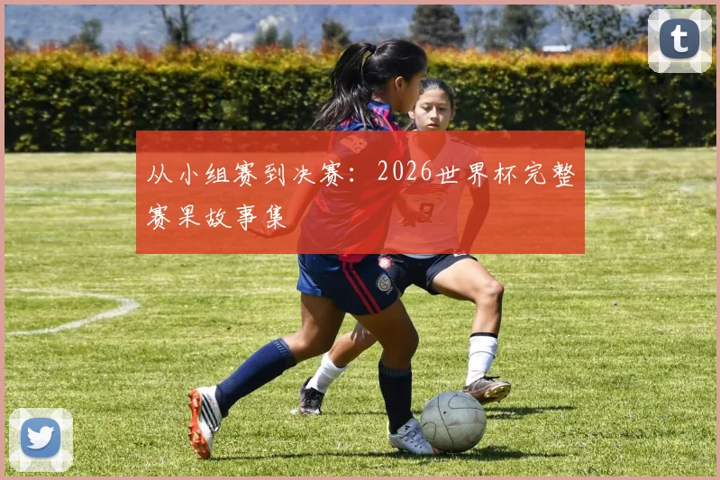 从小组赛到决赛：2026世界杯完整赛果故事集